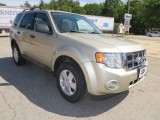 2012 FORD ESCAPE XLT $11,550